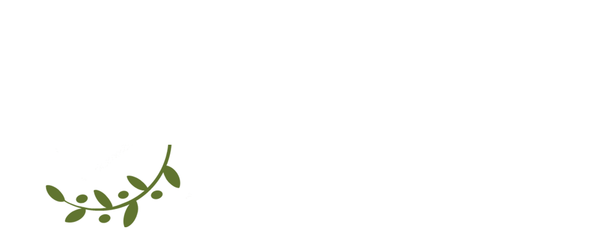 Angelina's Greek Gyros